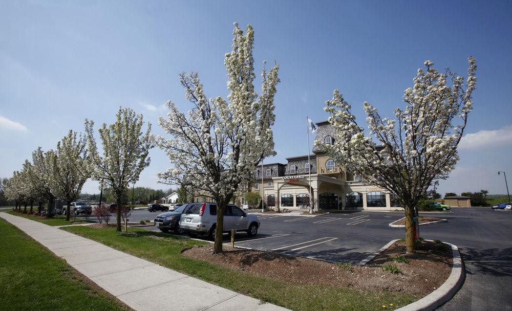 Hotel Courtyard By Marriott St. Jacobs