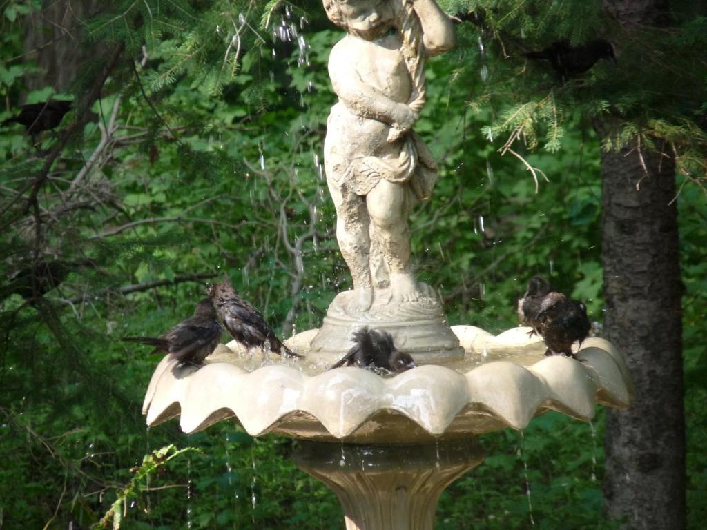 Bed & Breakfast Les Diplomates